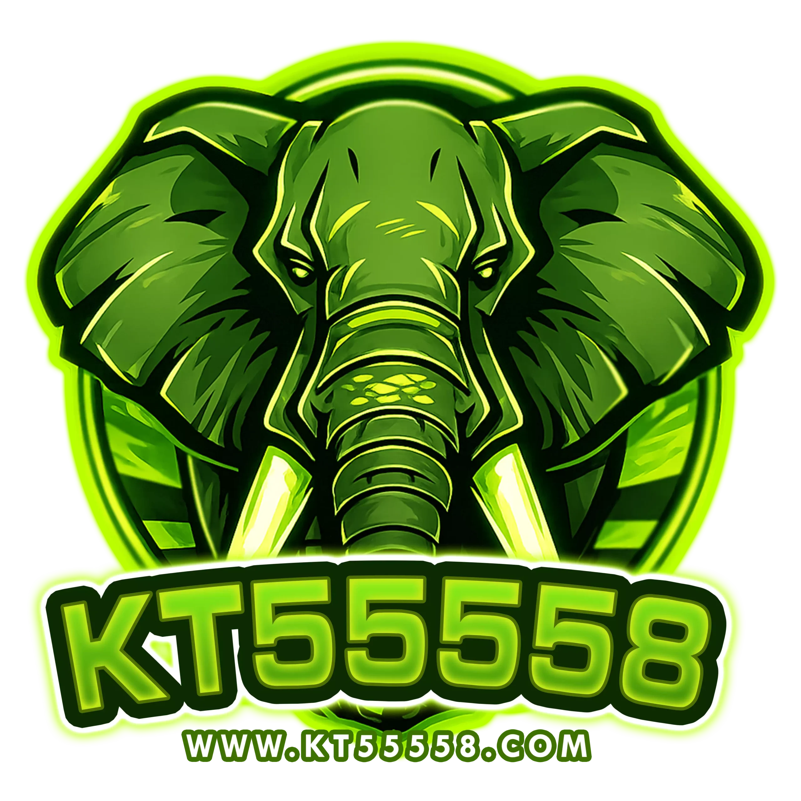 kt55558